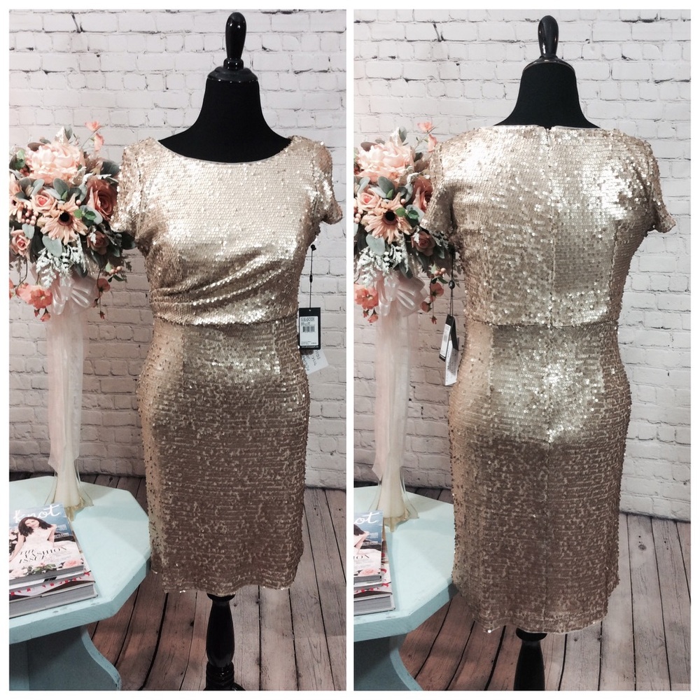 NWT! Adrianna Papell Sequin Dress